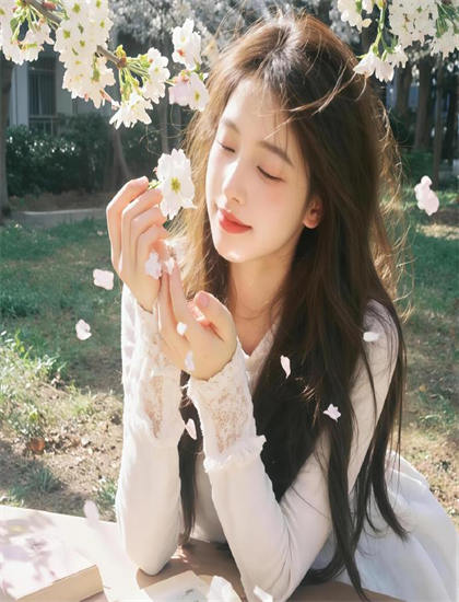 女局长 第一季故事脉络梳理：主线与支线情节完整技术解读